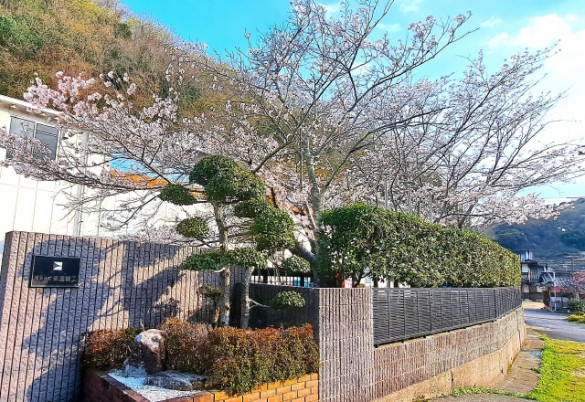 cd6a7ae095de8de3b80f584ae5fba854